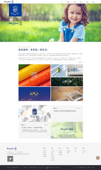 專注數字未來 佛山市火龍科技——您的網站設計、軟件開發與移動互聯網一體化解決方案專家