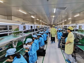 深圳賽博華宇攜手蘇寧拼拼工廠 以技術(shù)服務(wù)驅(qū)動(dòng)百萬銷量目標(biāo)